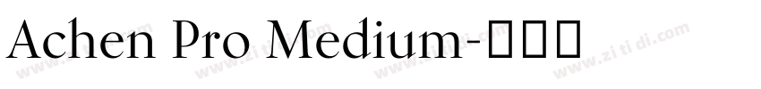 Achen Pro Medium字体转换 Achen Pro Medium字体转换